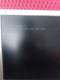 1000038804.webp