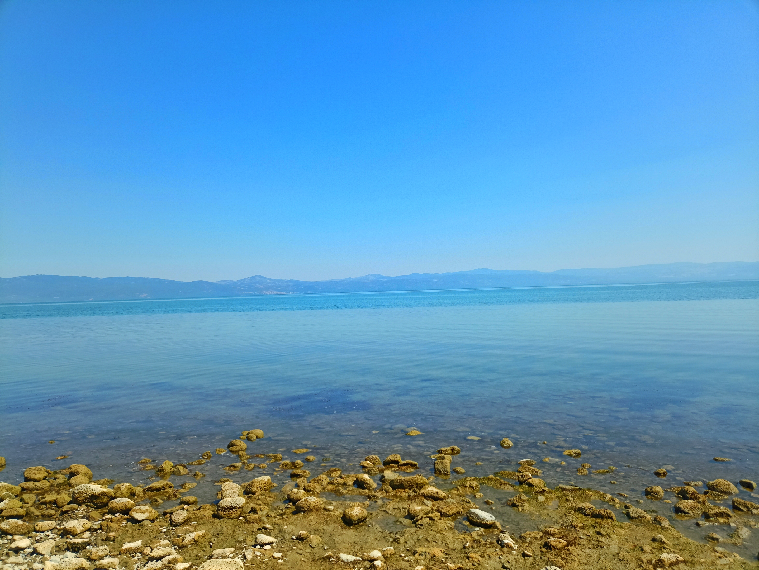 1000054452.webp