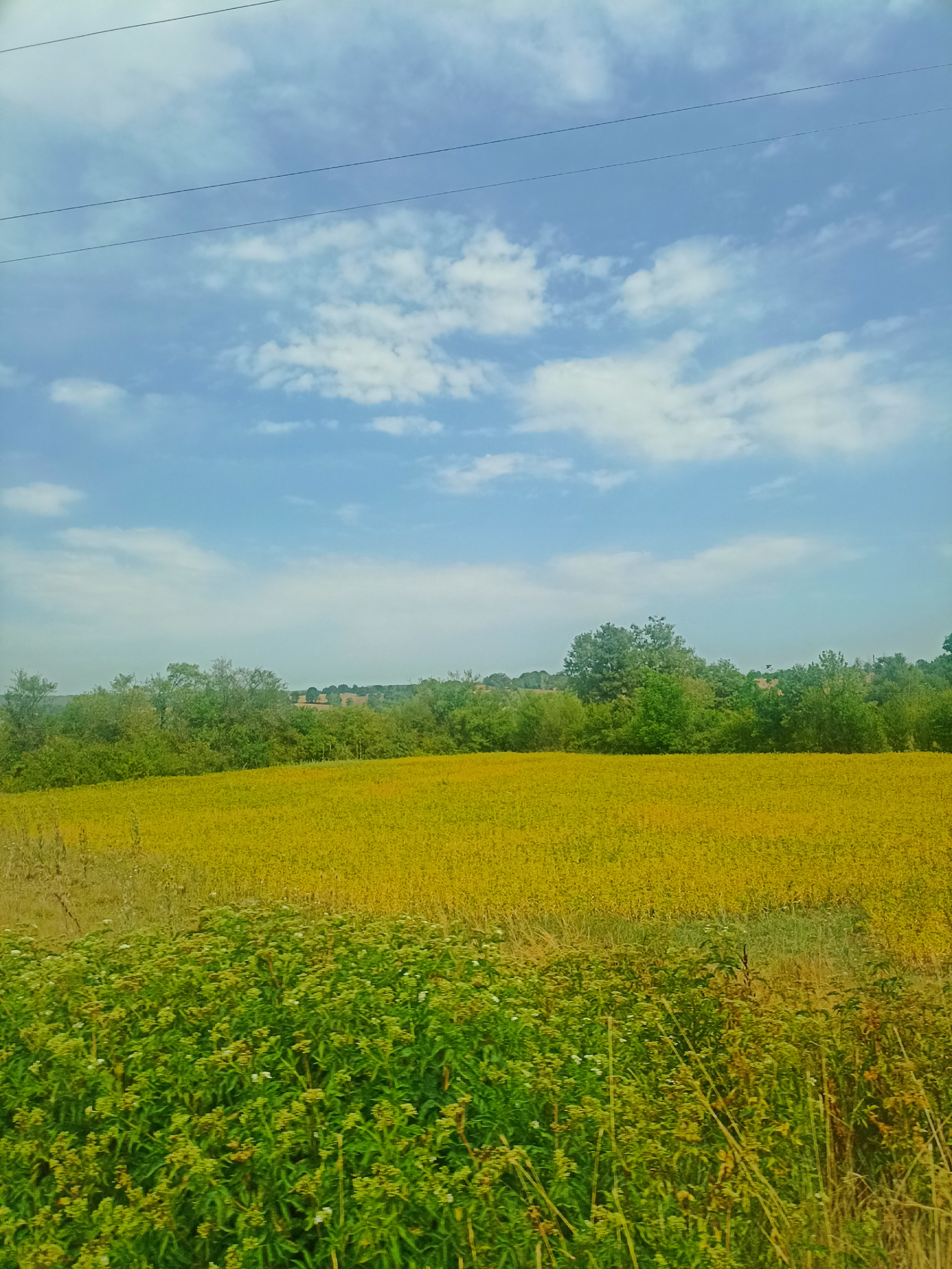 1000070438.webp
