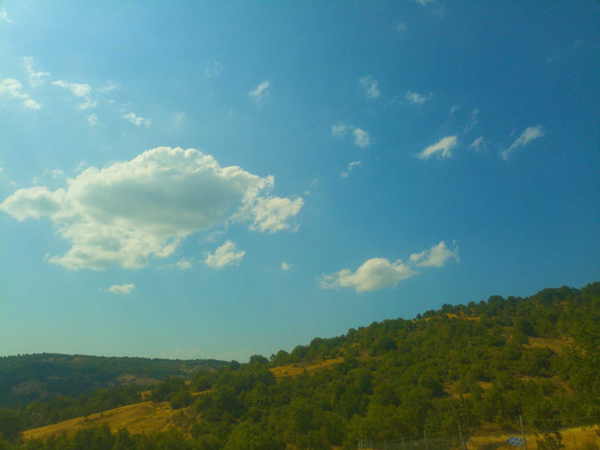 1000080161.webp