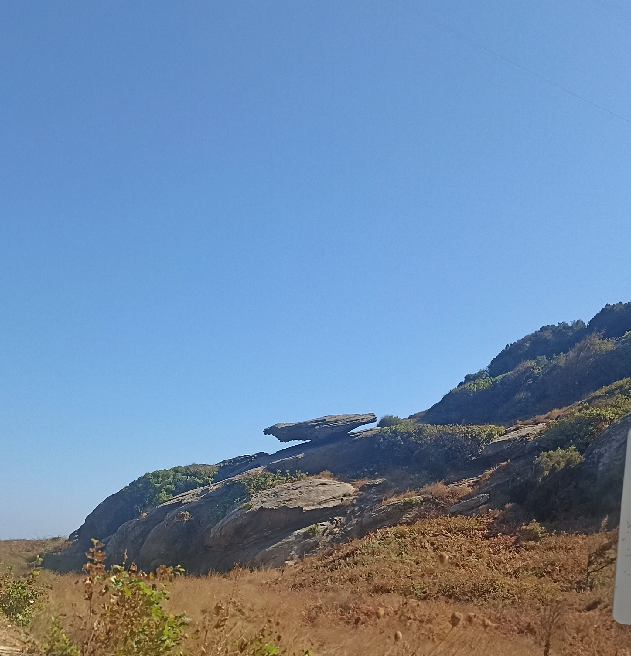 1000080934 (1).webp