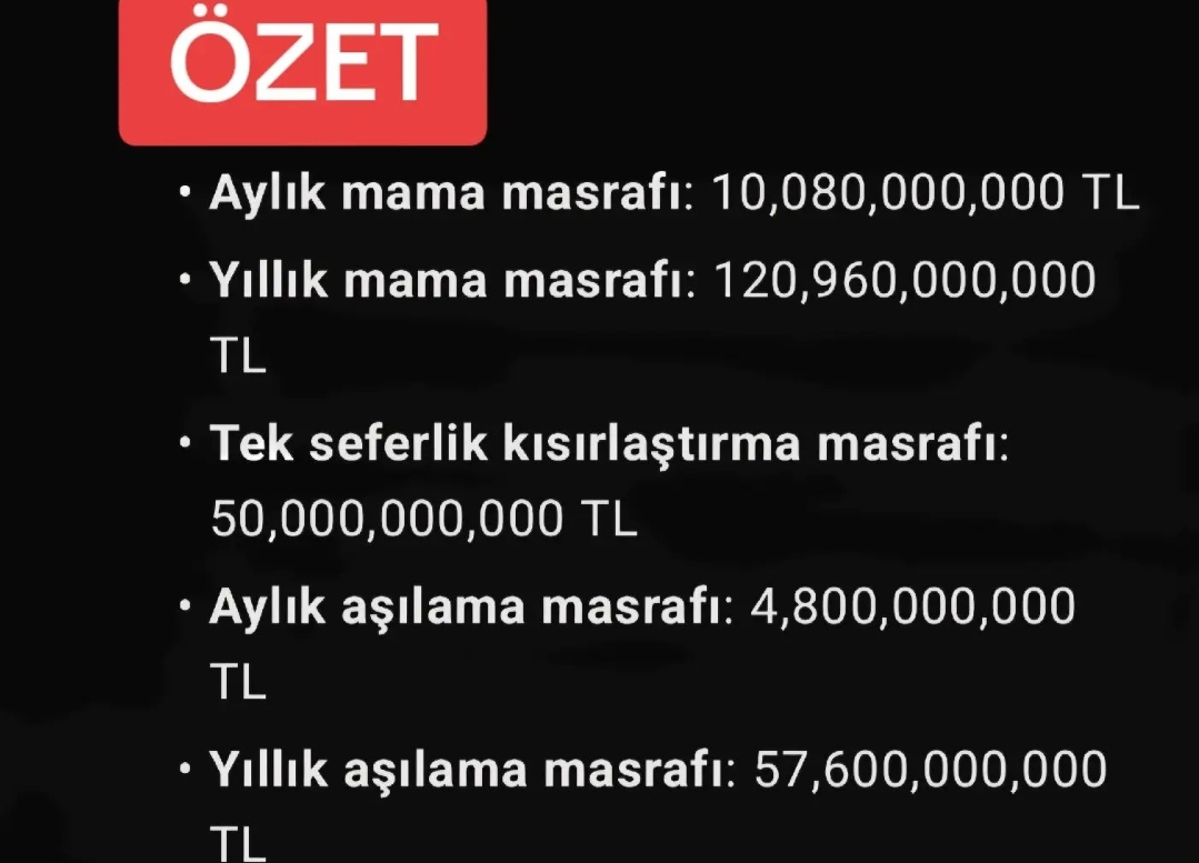 1000165682.webp