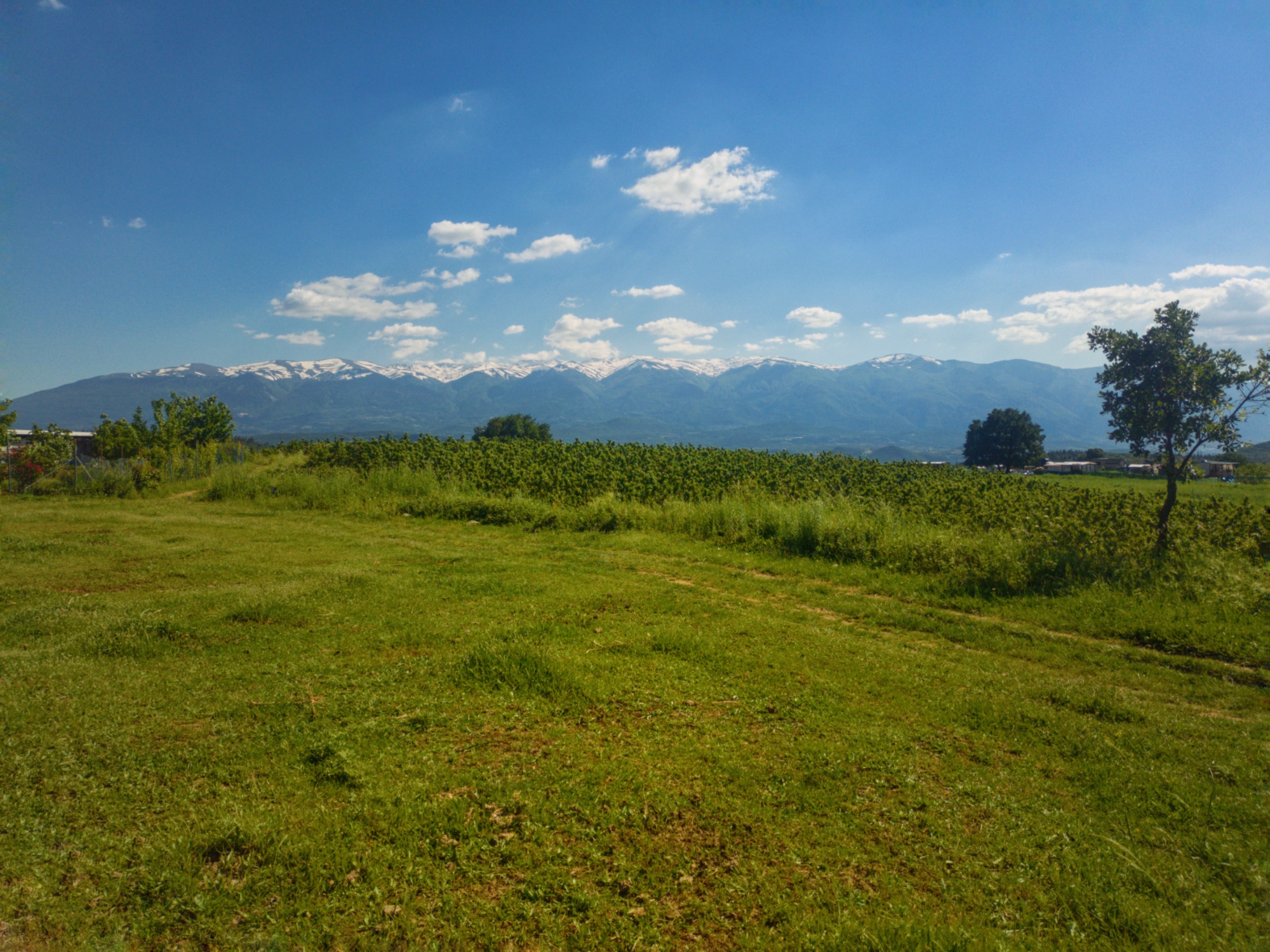 1000171645 (3).webp