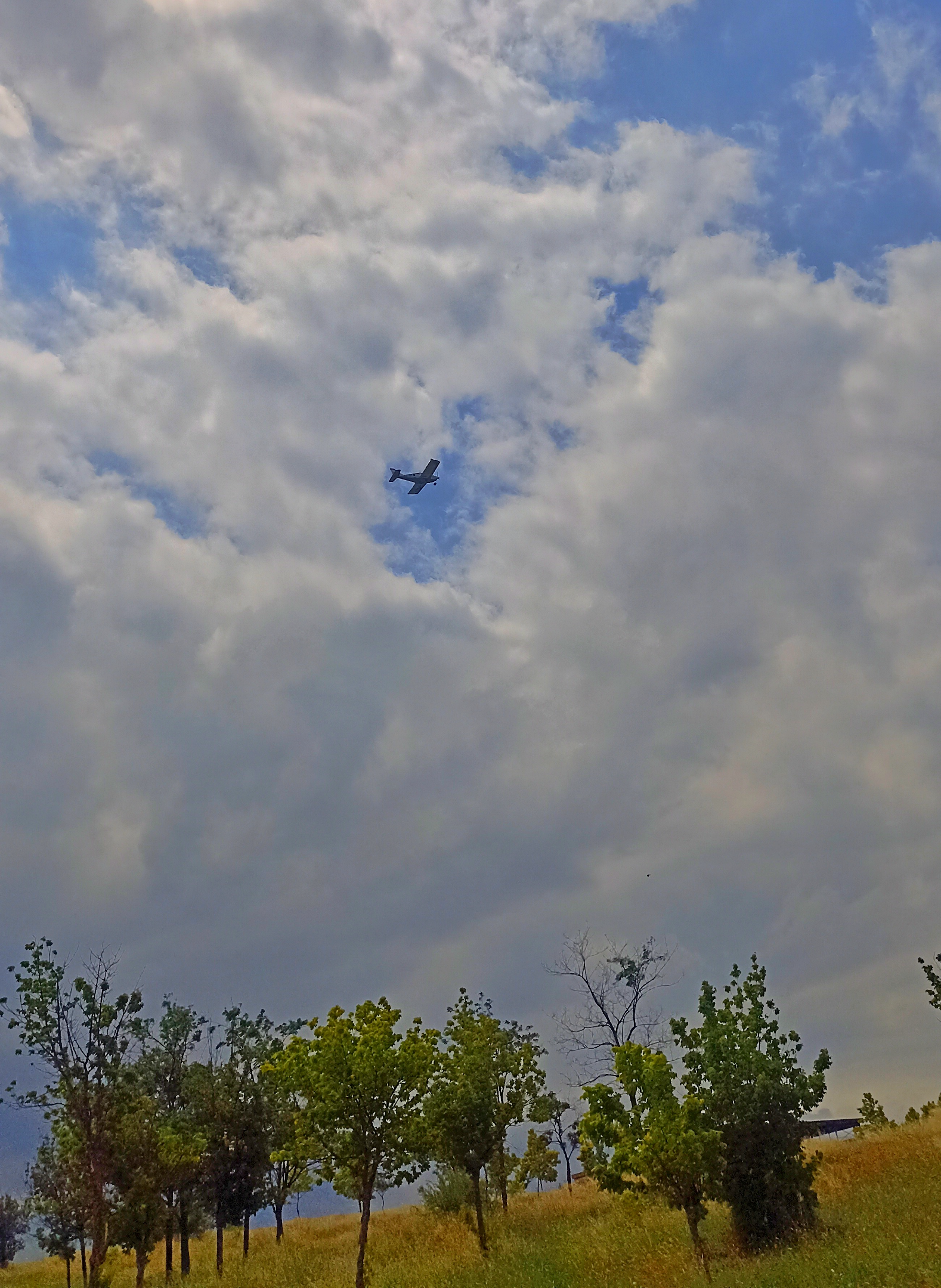 1000180544 (1).webp