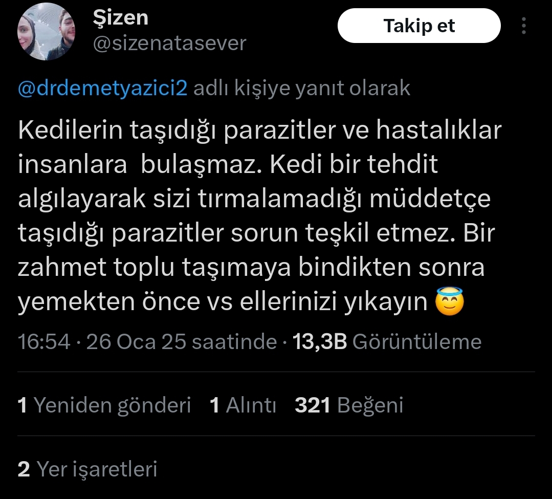 1000197317.webp