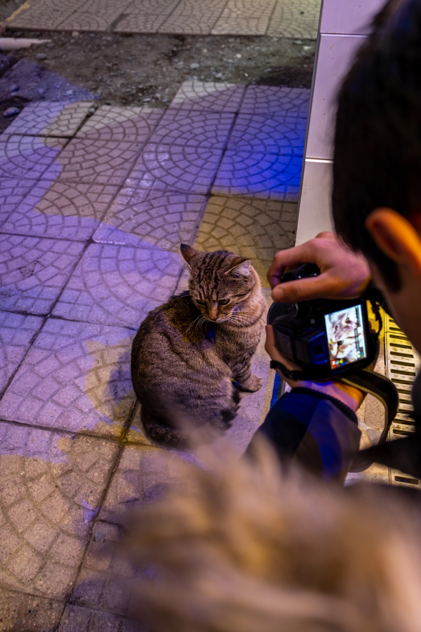 1000214800.webp
