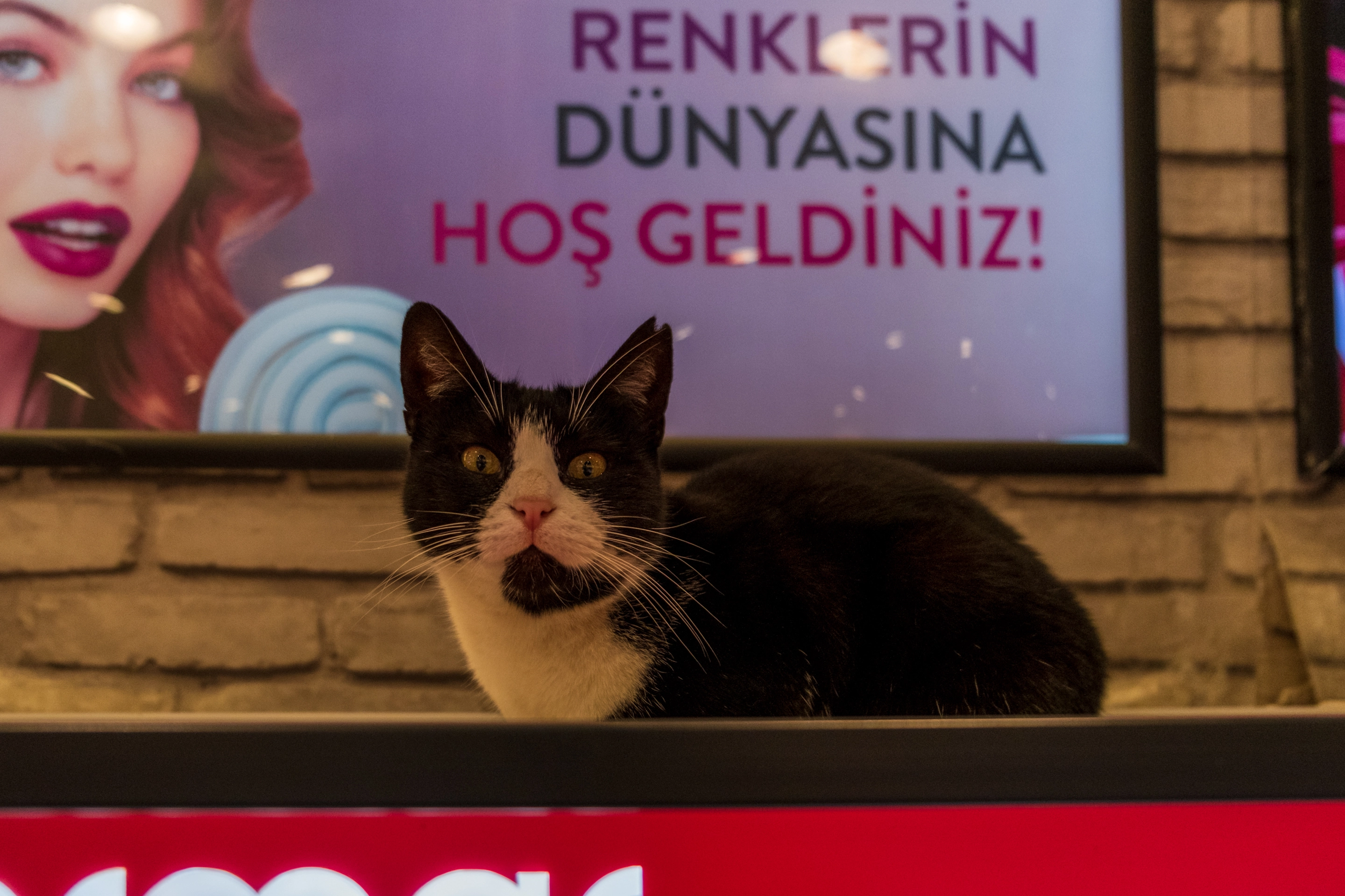 1000216474.webp