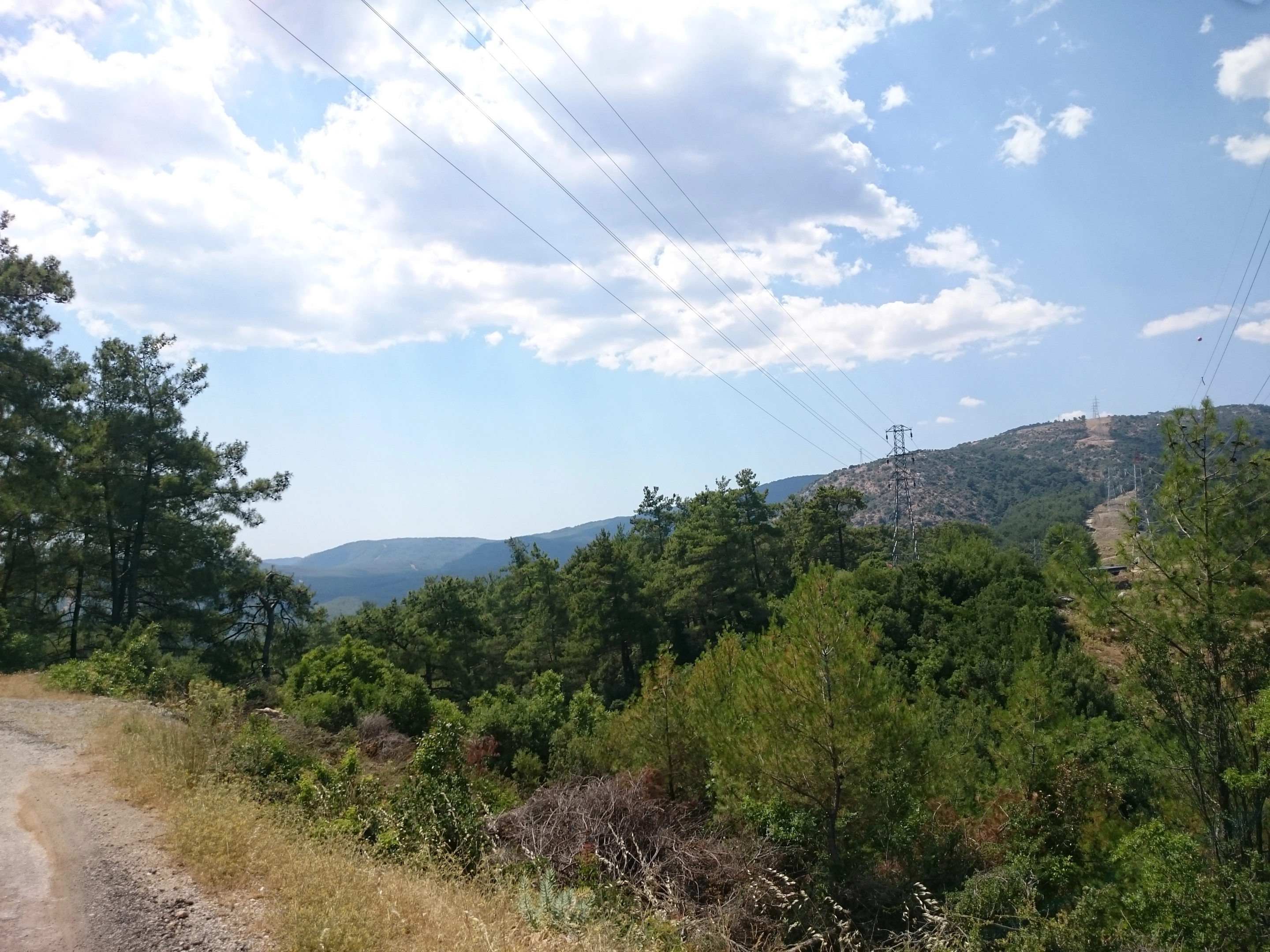 1000232482.webp