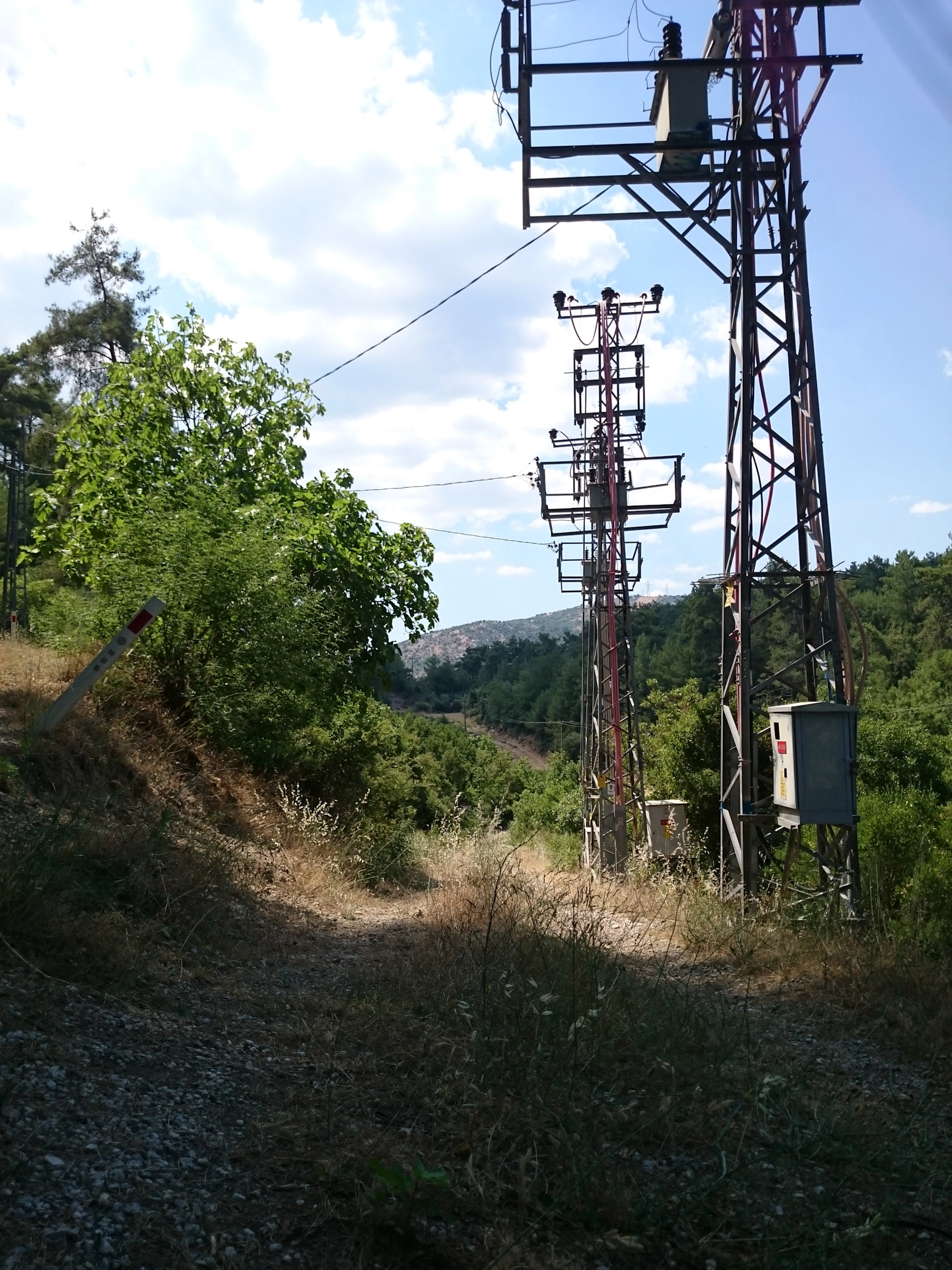 1000232485.webp