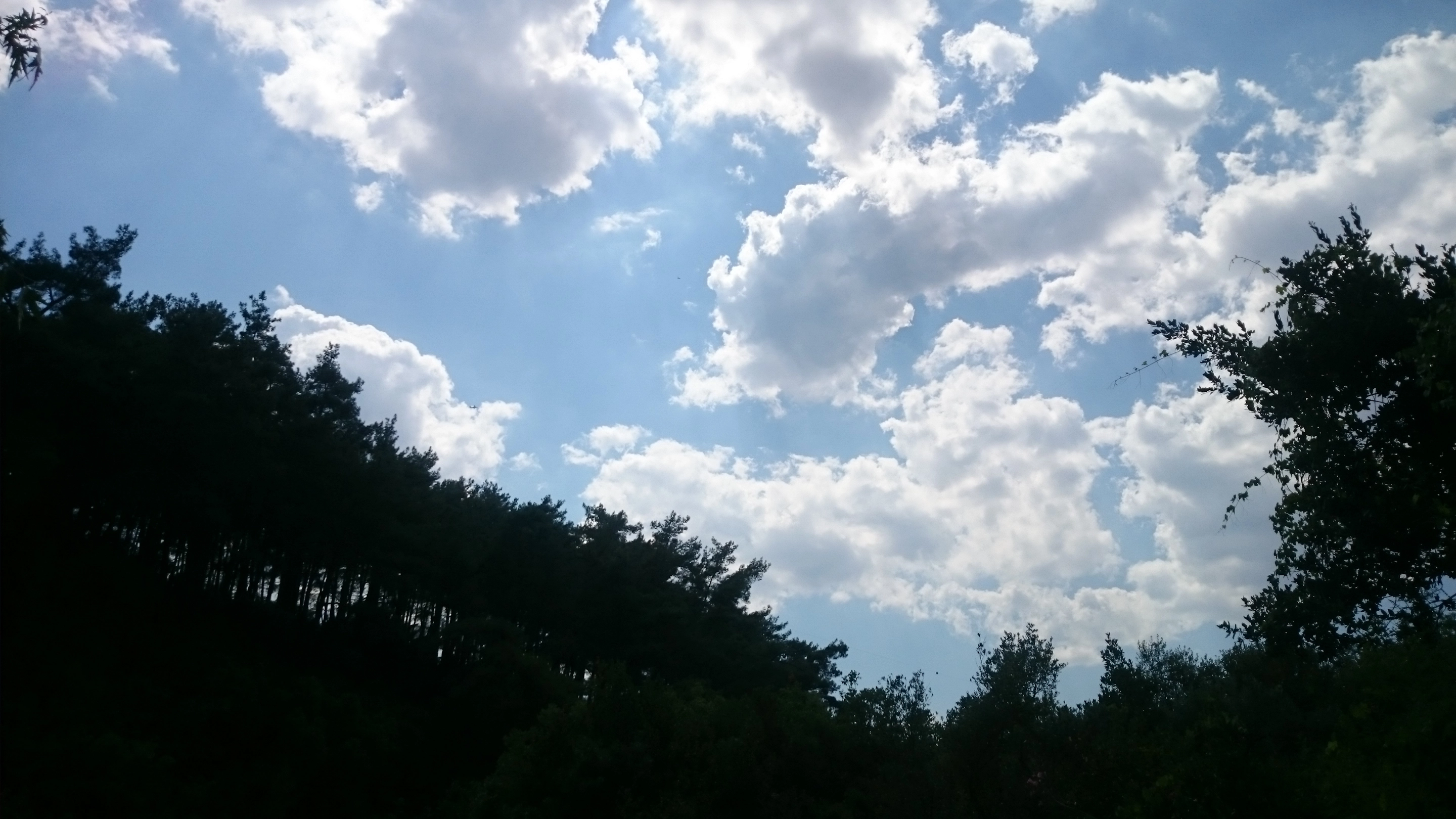 1000232487.webp