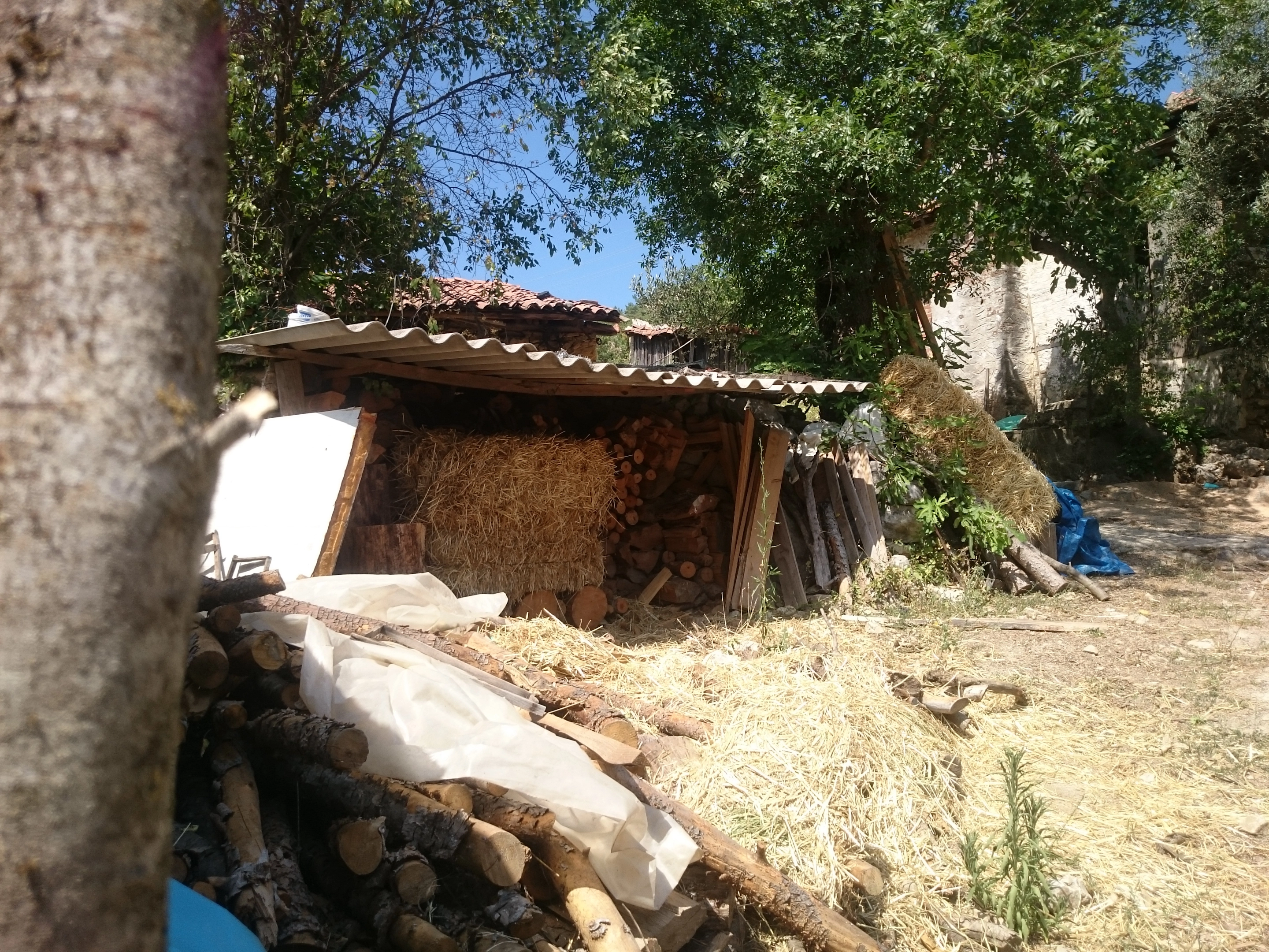 1000232489.webp