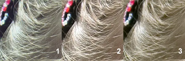 1000234706.webp