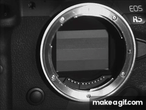 1000235366.gif