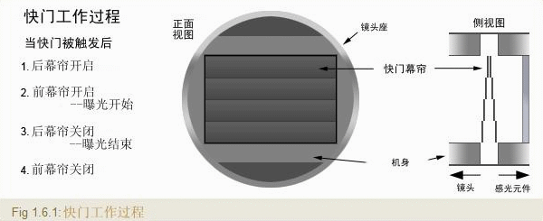 1000235368.gif