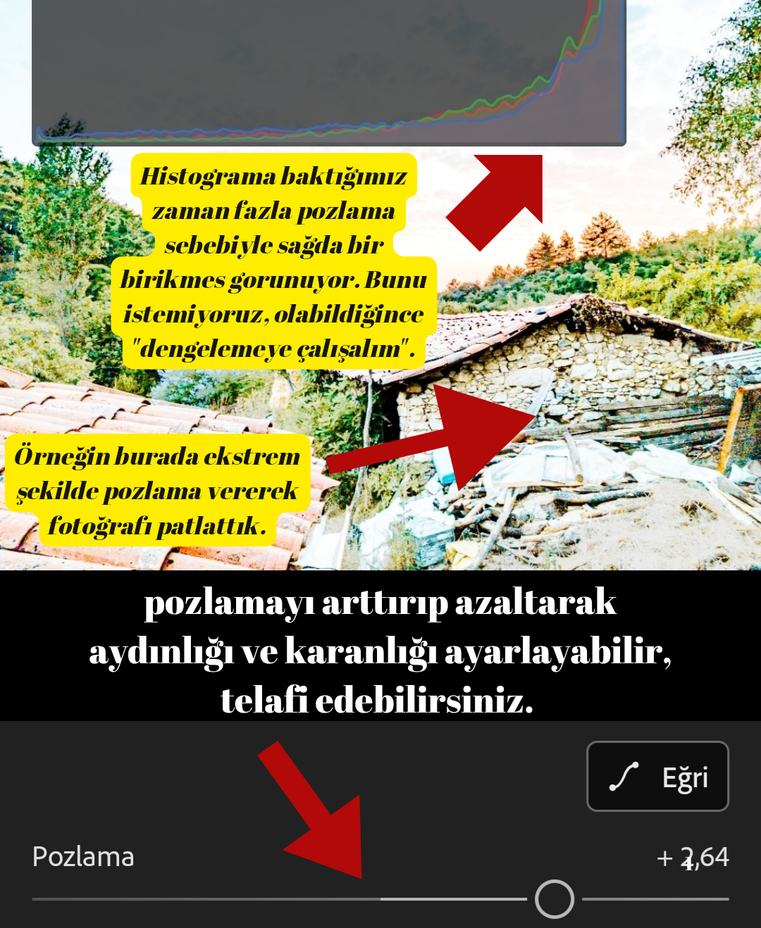 1000239072.webp