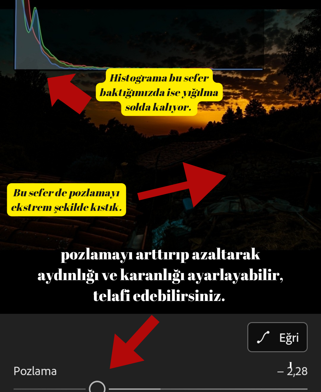 1000239075.webp