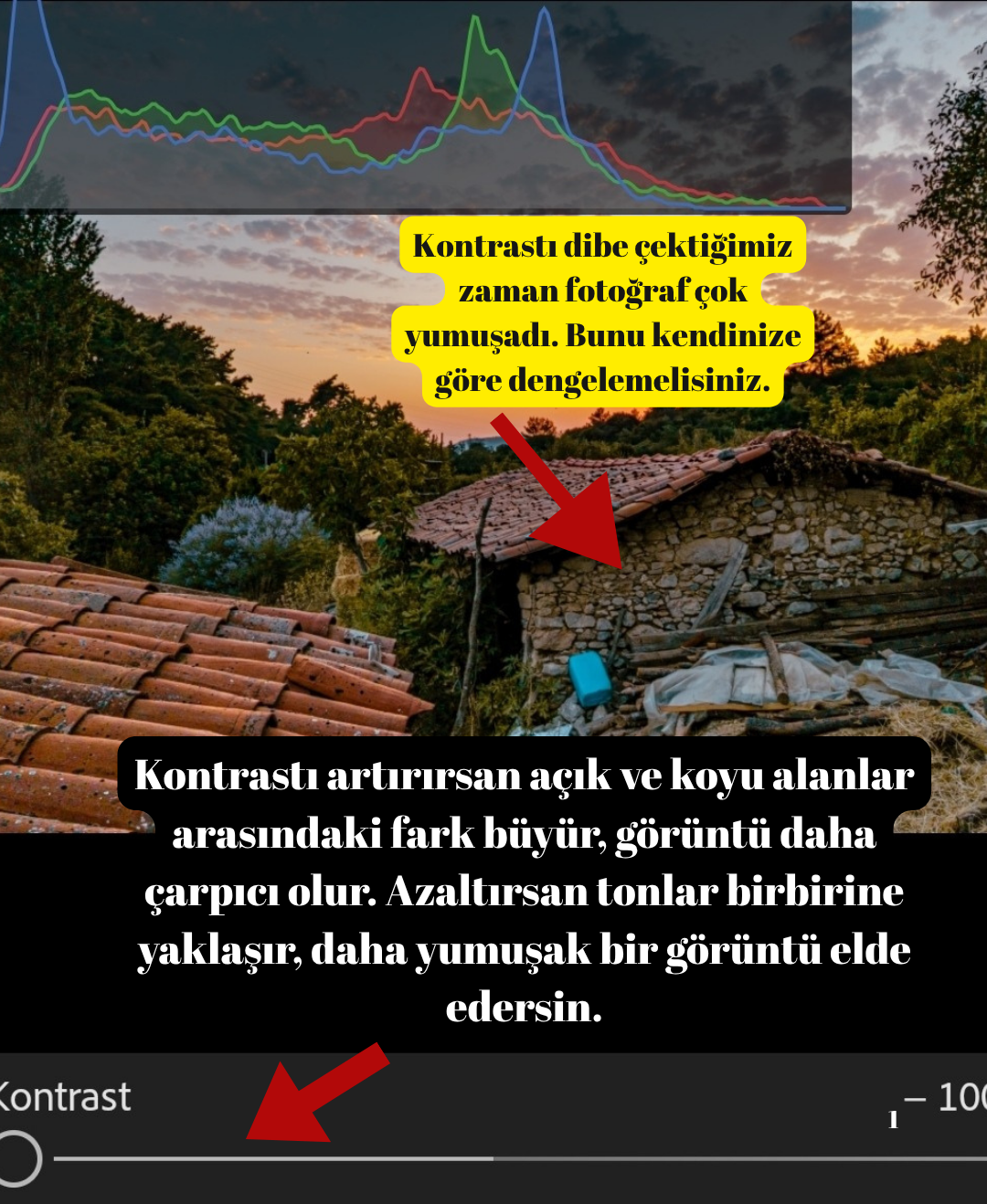 1000239078.webp