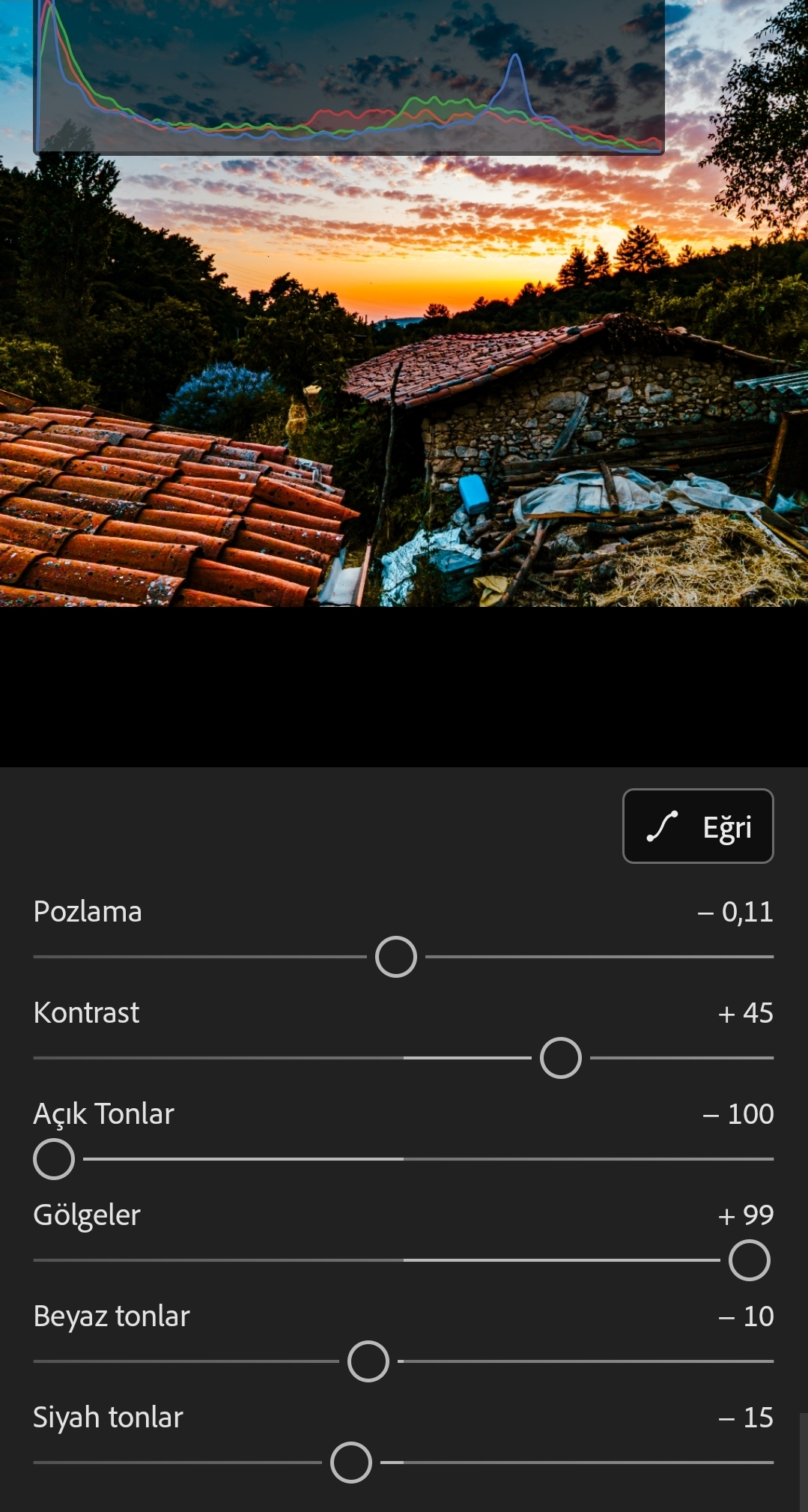 1000239083.webp