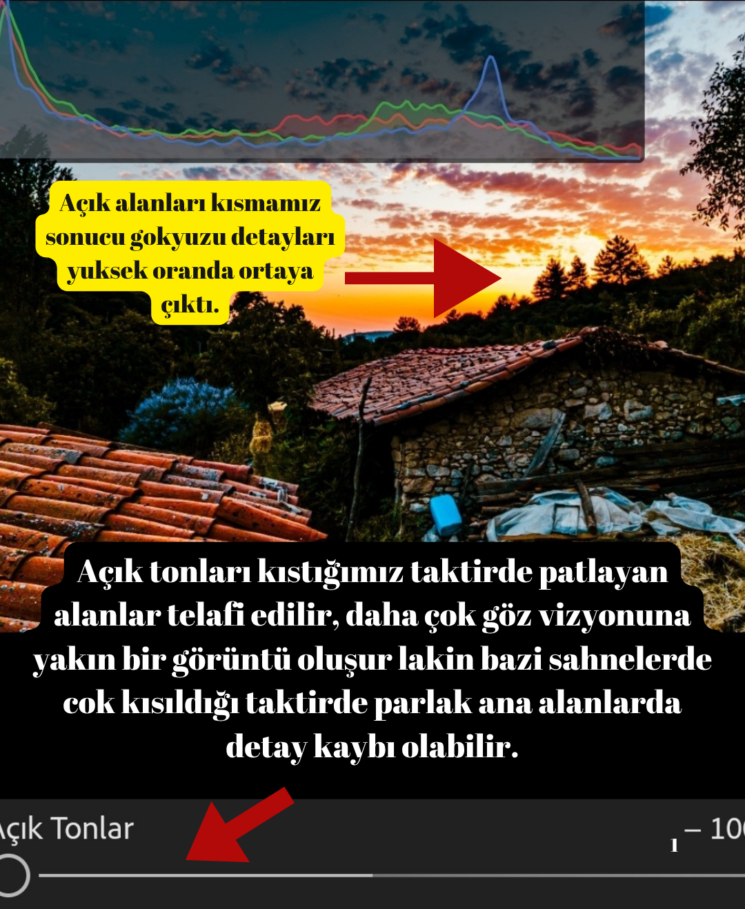 1000239088.webp