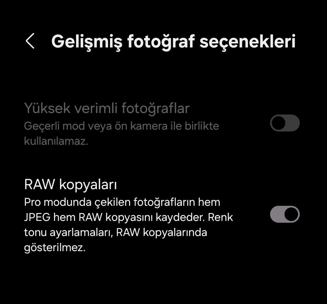 1000239124.webp