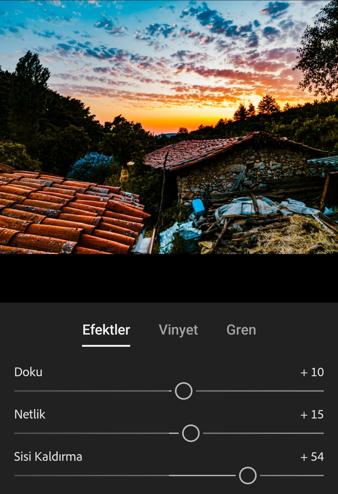 1000239145.webp