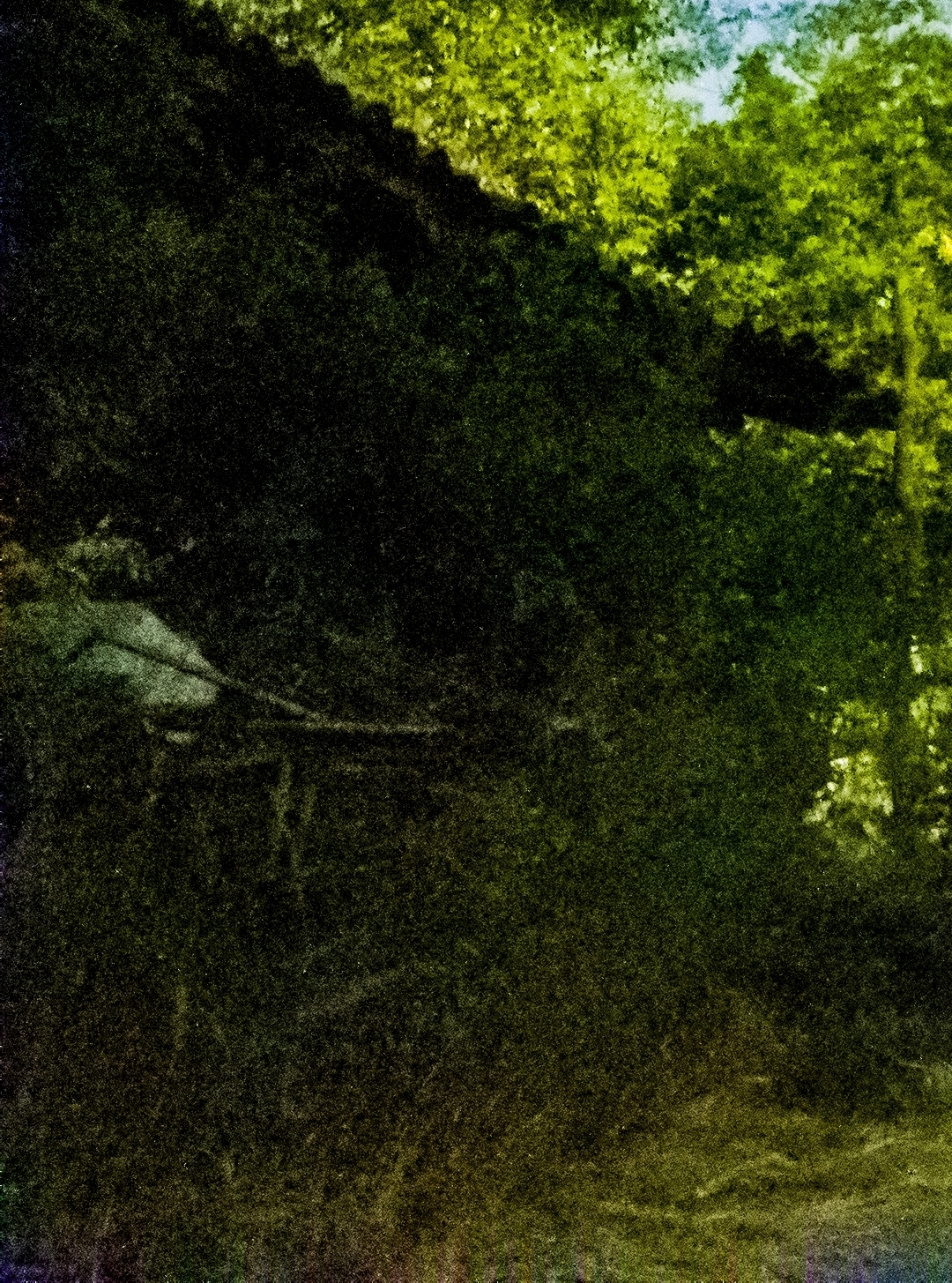 1000239161.webp