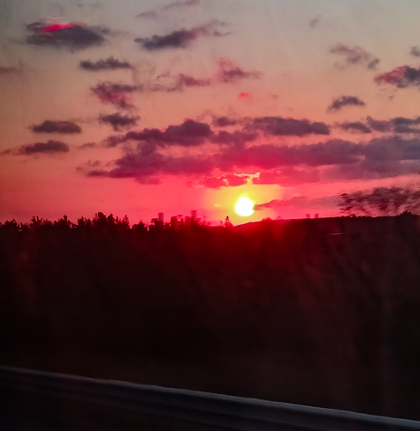 1000252873.webp