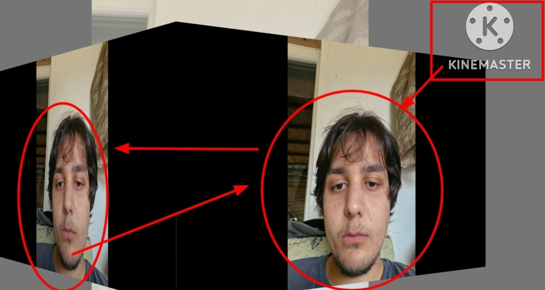 1000253389.webp