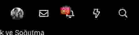 1000253773.webp