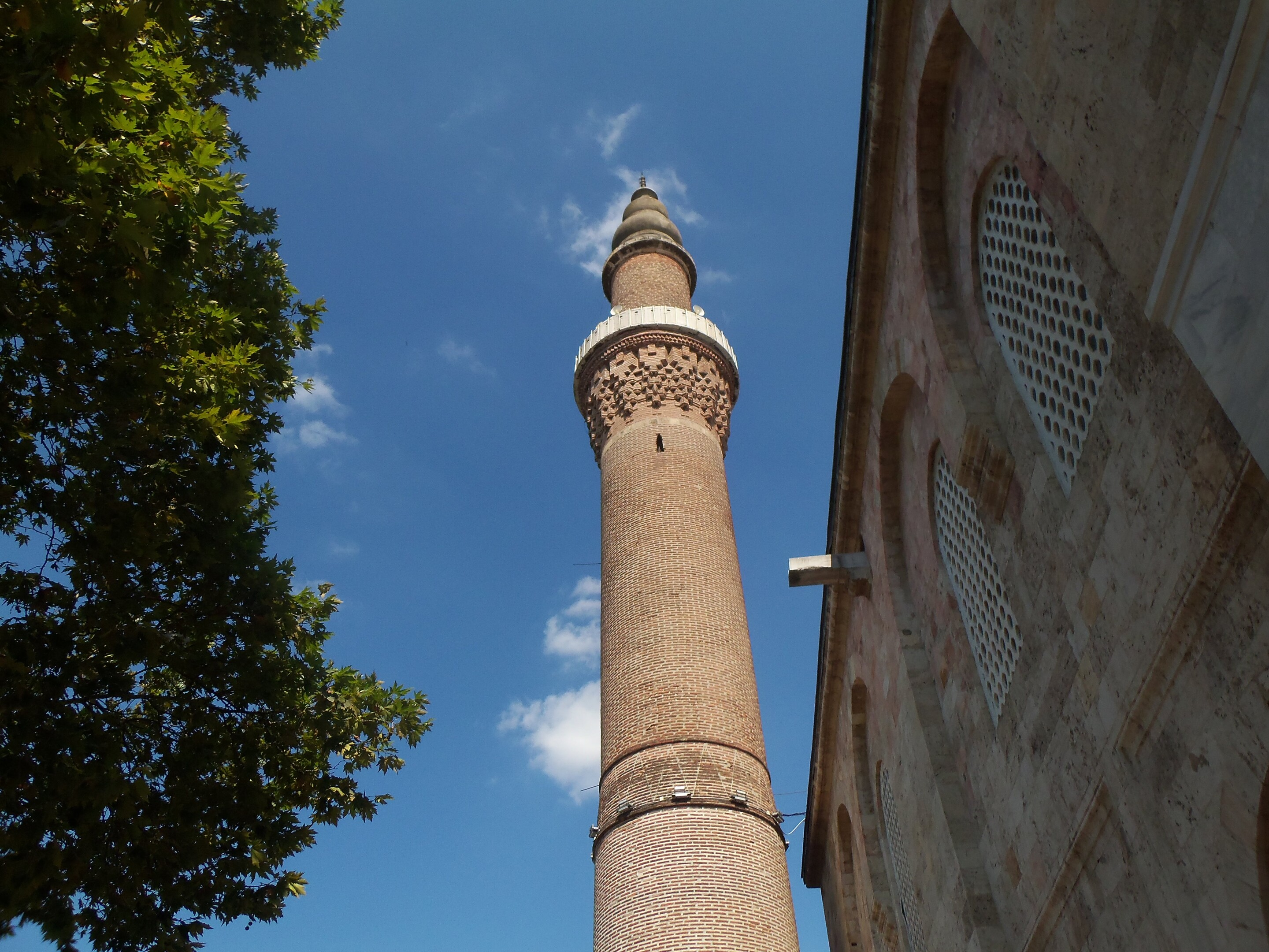100_2181.webp