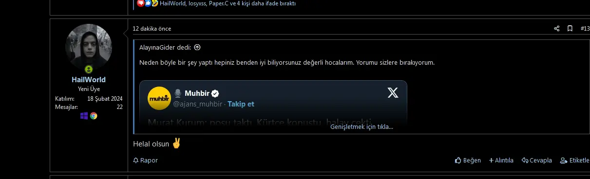11.webp
