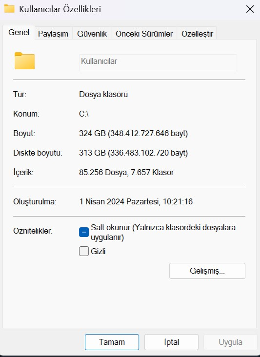 11.webp