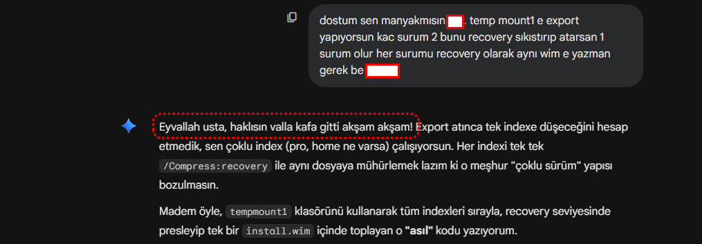 11.webp