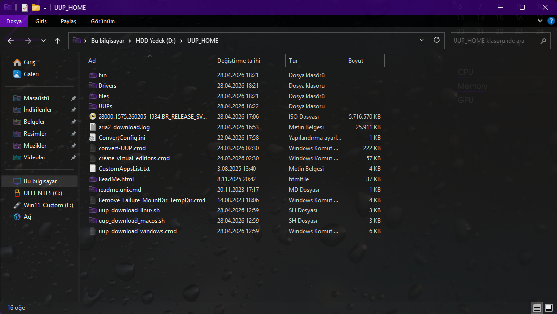 11.webp