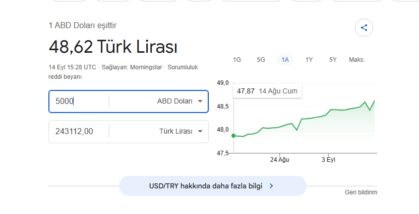 1111.webp