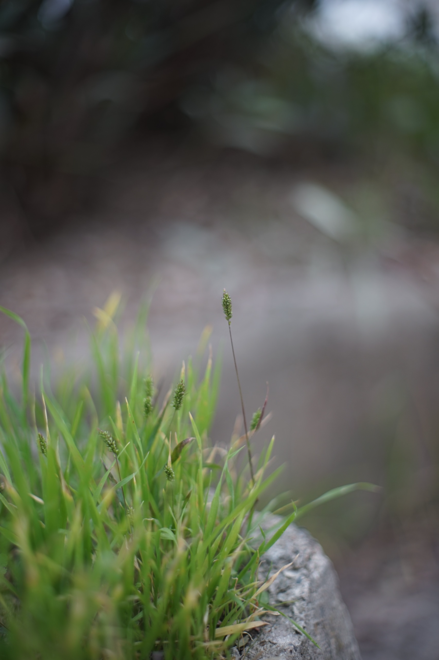 117.19.webp