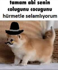 123412412.webp