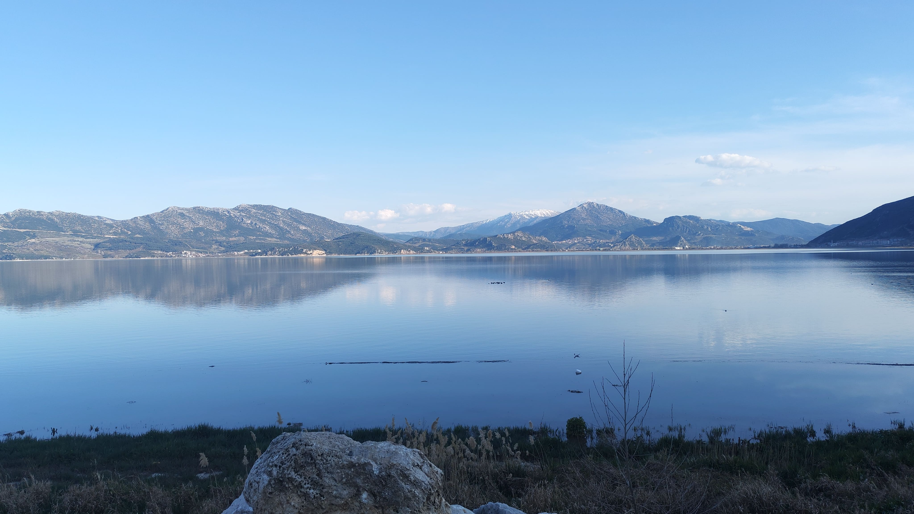 12870.webp
