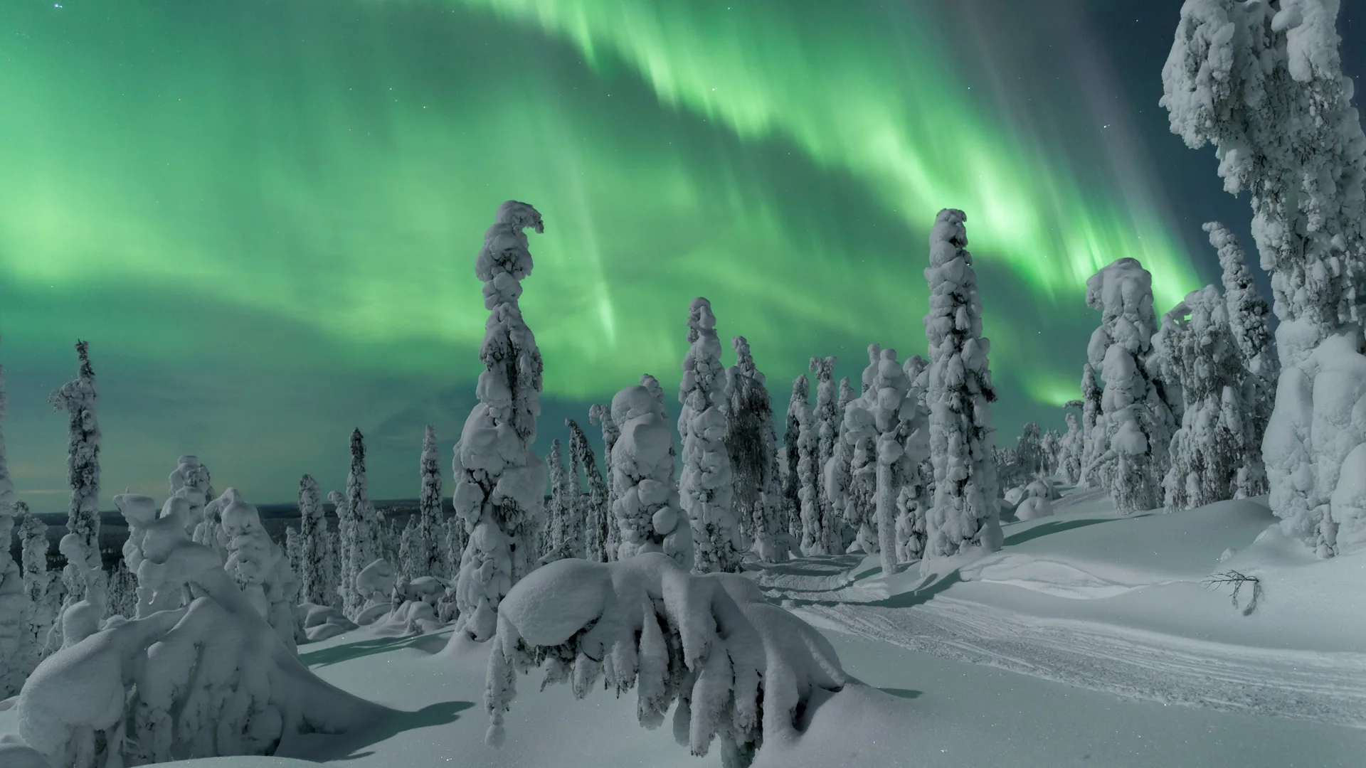 1491c3be-northern-lights-finland-lapland-thomas-kast-visit-finland-2.webp