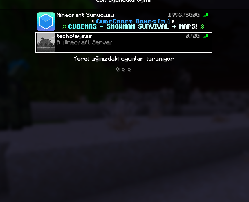 15.webp