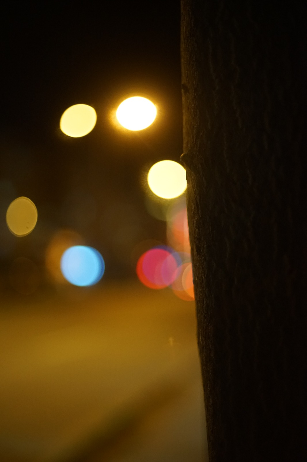 .16.webp