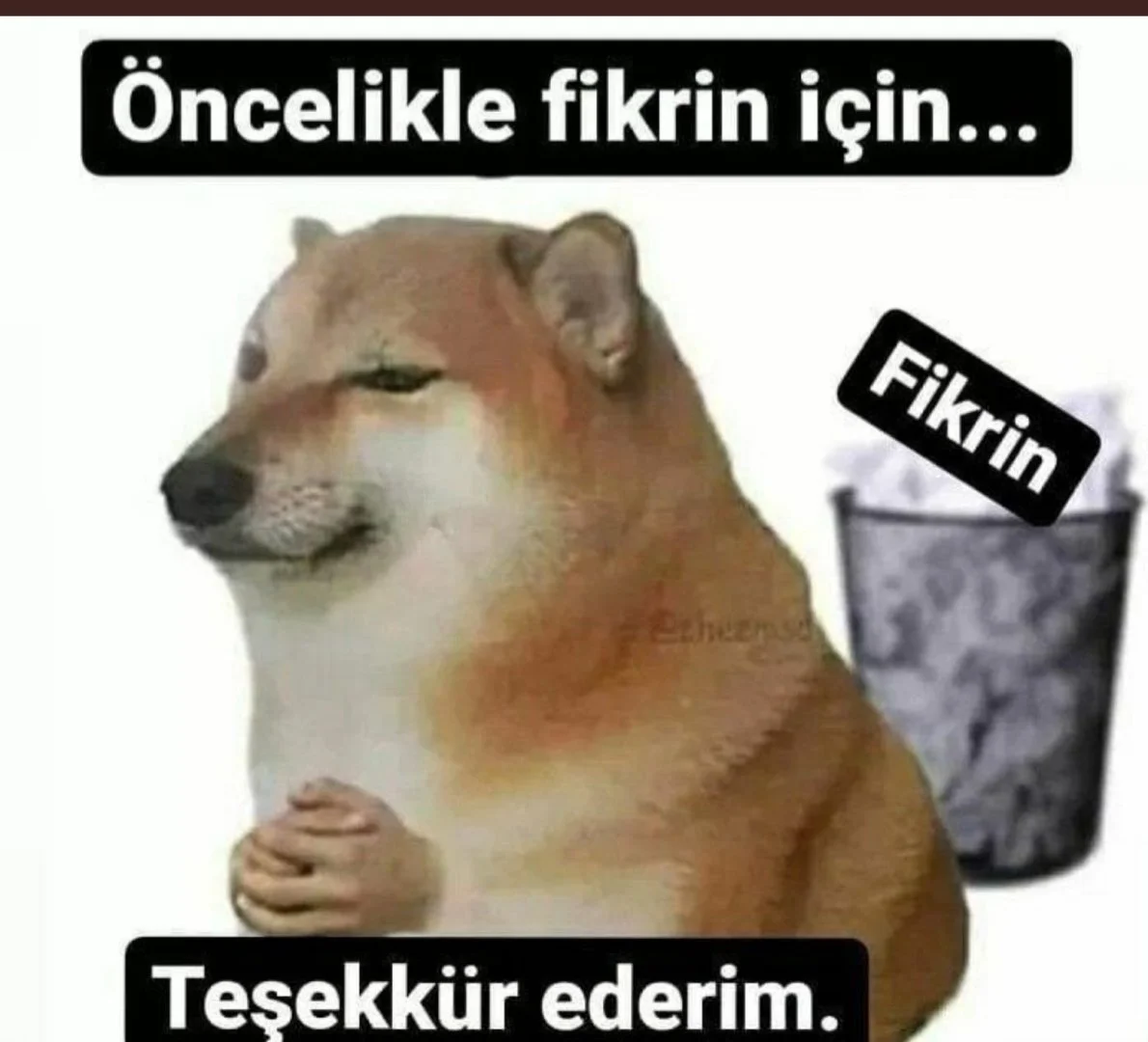 1695142931558.webp