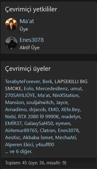 1703178846502.webp