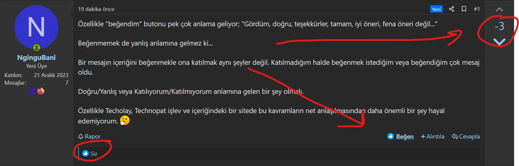 1703199845663.webp