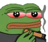 1703283743335.webp