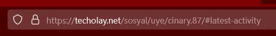 1703288508558.webp