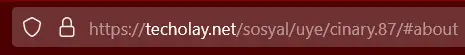 1703288555127.webp