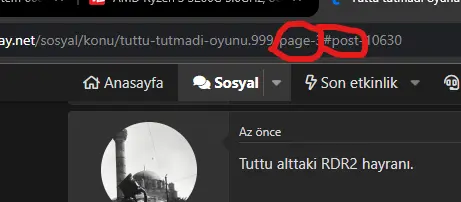 1703337945415.webp