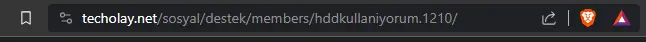 1703364858305.webp