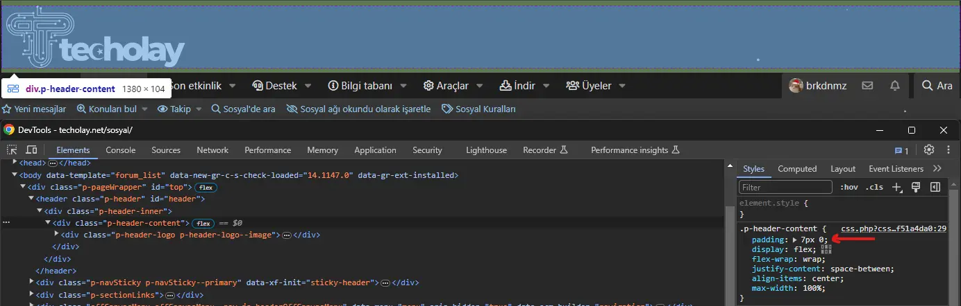 1703859243117.webp